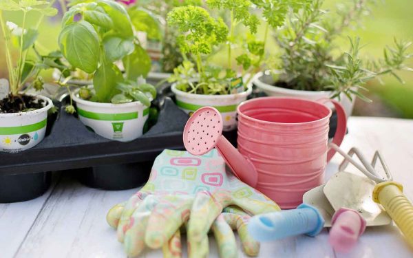 Must-Have Garden Tools for Every Green Thumb: Your Essential Guide