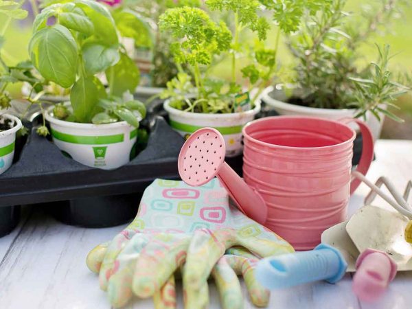 Must-Have Garden Tools for Every Green Thumb: Your Essential Guide