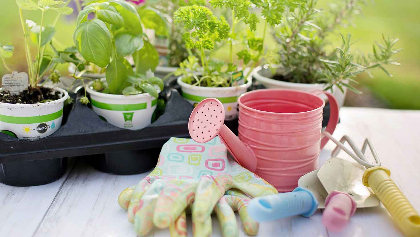 Must-Have Garden Tools for Every Green Thumb: Your Essential Guide